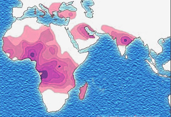 Distribution historique du gène drépanocytaire.