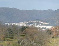 Eljas