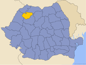 Administrative map of Руминия with Салаж county highlighted