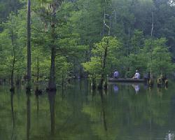 Choctaw National Wildlife Refuge.