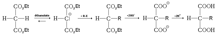 Première partie des réactions de la synthèse malonique