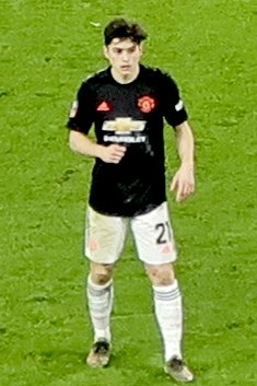 Daniel James Wolves vs Man U 2020-01-04 (cropped).jpg