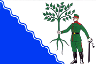 Flag of Novokubansk (Krasnodar krai).png