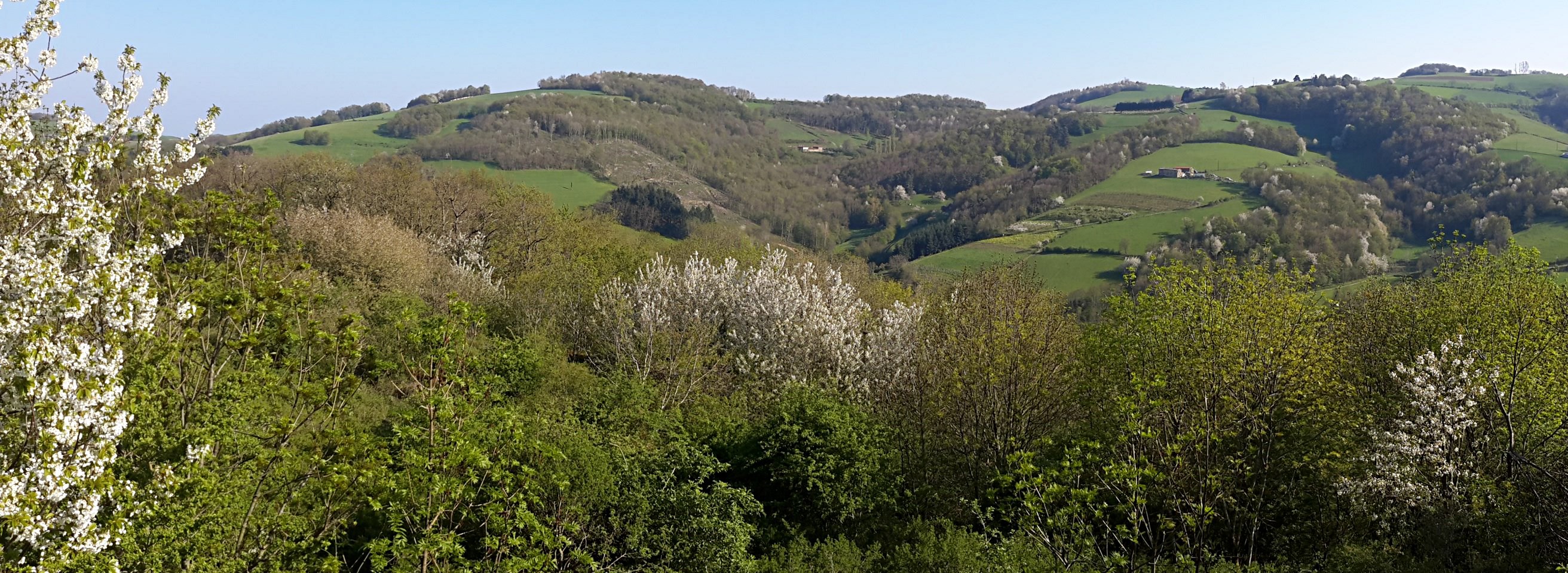 Vue vers Les Ravières depuis le haut des Grandes Bruyères.