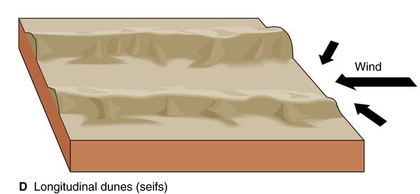 The average-direction-longitudinal model of seif dune formation.