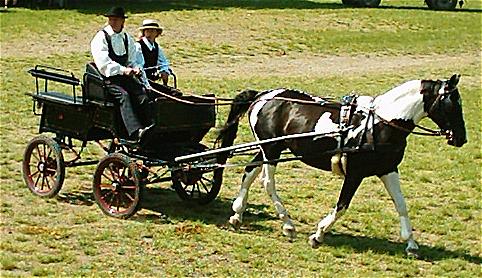 Une wagonnette en service