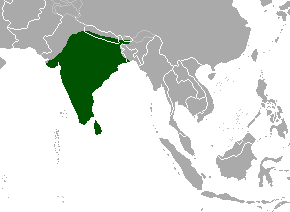 Description de l'image Chital range map.png.