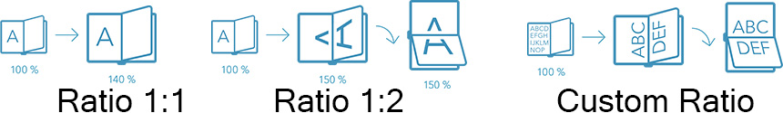 Large Print Ratios