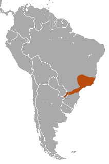 Distribuição do Monodelphis scalops