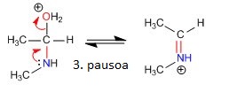 3. pausoa: ur molekularen eliminazioa