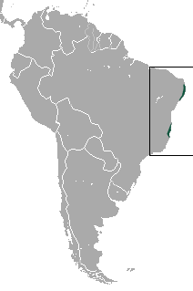 Zona de distribución del capuchino rubio