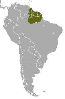 Distribuição geográfica de Ateles paniscus.