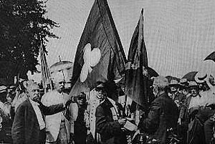 Veterans with flags