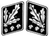 SS-oberstgruppenfuhrer embleem