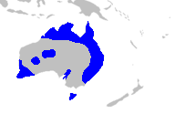 Distribución de Xanthorrhoeoideae.