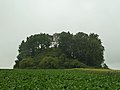 Vignette pour Tumulus d'Othée