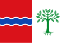 Drapeau de Fuentelencina