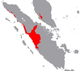 The Minangkabau origin place