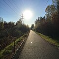 Springwater Trail in Gresham