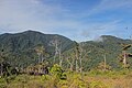 Puncak Gunung Arfak dari sisi barat laut