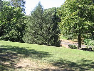 A view looking west from the meadow.