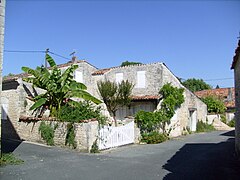 Venelles à Dercie.