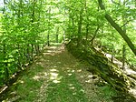 Der zur Hauptburg führende Felsgrat