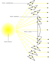 Représentation du trajet des rayons lumineux dans une lentille de Fresnel.