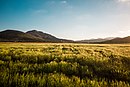 La Serreta de Cabo de Gata