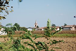 frazione Basella