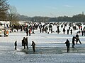 Obersee mit Viadukt Januar 2009. Letzter Winter vor der Abtrennung des nördlichen Seeufers durch die Bachumleitung.