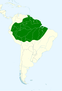 Distribución geográfica del aura selvática.