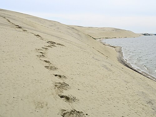 Footprints on dunes, Curonian Spit