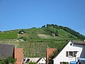 Schlossberg vom Dorf Achkarren im Tal aus gesehen; der Höhenunterschied bis zur Spitze beträgt ca. 150 m, die steile Südhanglage bringt gute Weine hervor