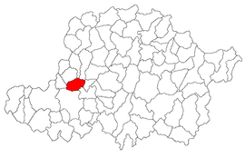 Location in Arad County