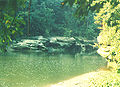 Rock Formations along Turkey Run