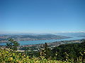 Blick vom Üetliberg auf den Zürichsee und die Glarner Alpen