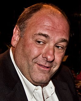 Gandolfini (2011)