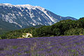 16 juillet 2013 Pour vos vacances, c'est à la campagne ou à la montagne ?