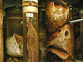 An example of "wet" storage from a shelf in the Tank Room within the Darwin Centre (Phase 1)