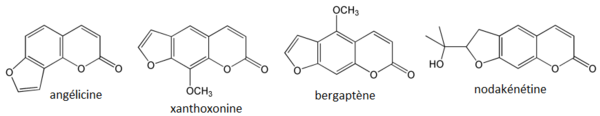 Quelques furocoumarines.