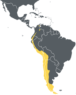 Amarelo – distribución aproximada