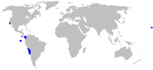 Centroscyllium nigrum distmap.png