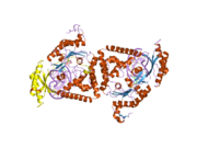 2oh2: Ternary Complex of Human DNA Polymerase