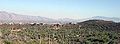 Tucson panorama