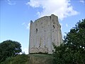 Le donjon de Broue