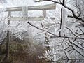 長崎県雲仙岳の粗氷（花ぼうろと呼ばれる）