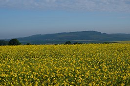 Dorpsgezicht van Lemoncourt / Lemhofen, vanaf de omliggende heuvels in de streek Saulnous / Salzgau