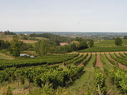 Skyline of Colombier