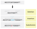 Image 4Types of small-scale mutations (from Mutation)